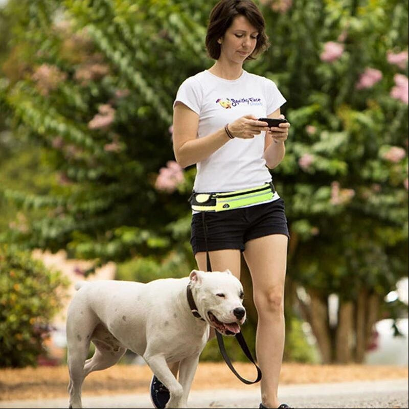 Dog Running Leash