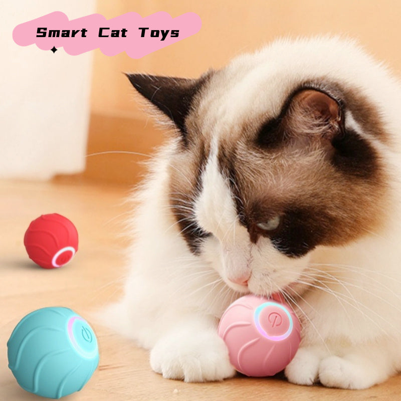 Electric Rolling Ball Toy