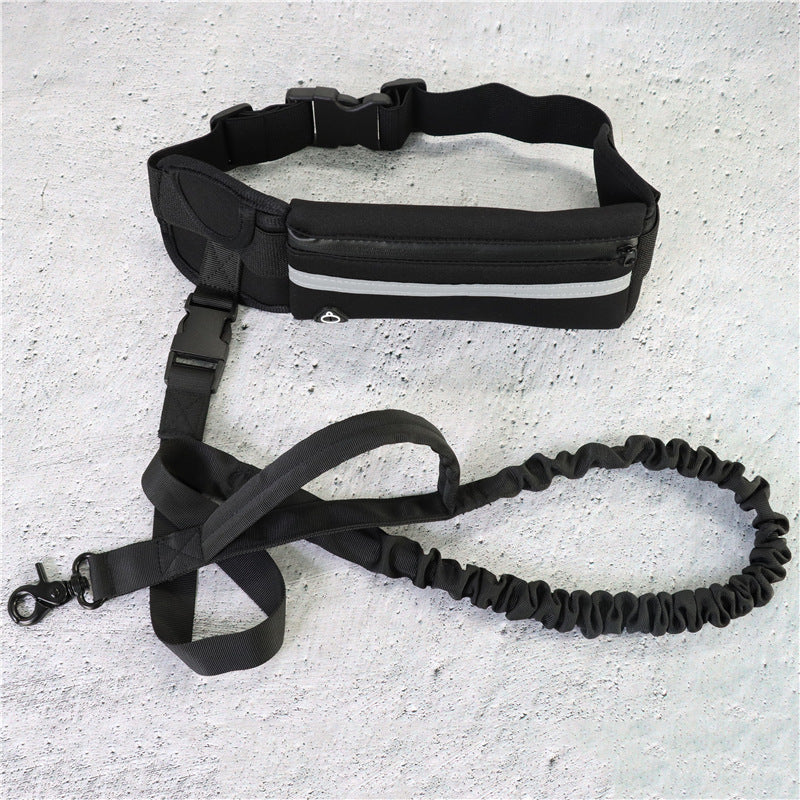 Dog Running Leash