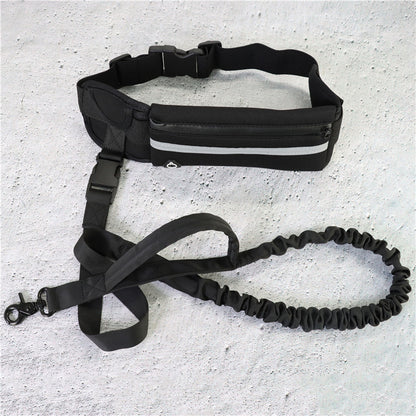 Dog Running Leash