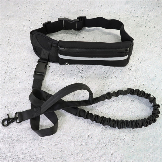 Dog Running Leash