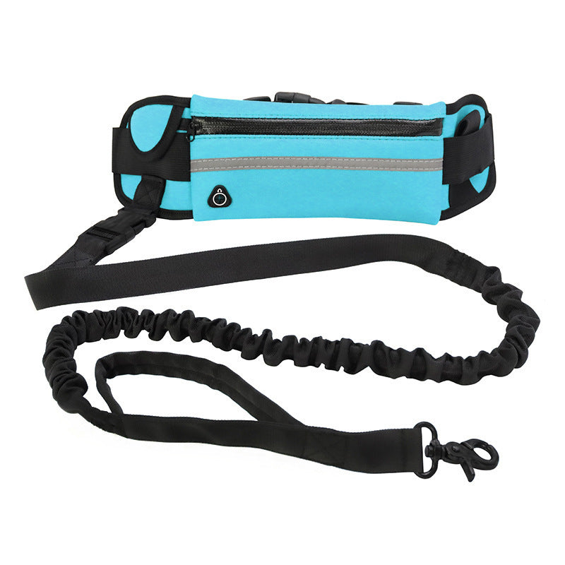 Dog Running Leash