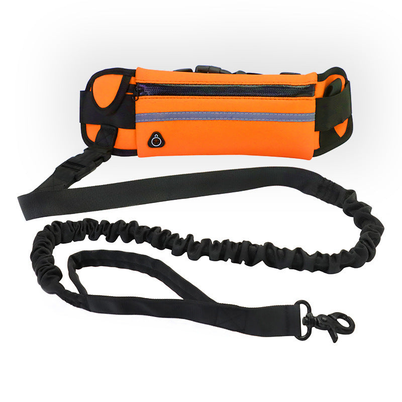 Dog Running Leash