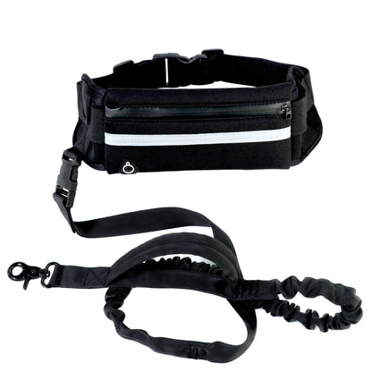 Dog Running Leash